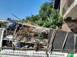 Same-Day Junk Removal Services in Denison, TX